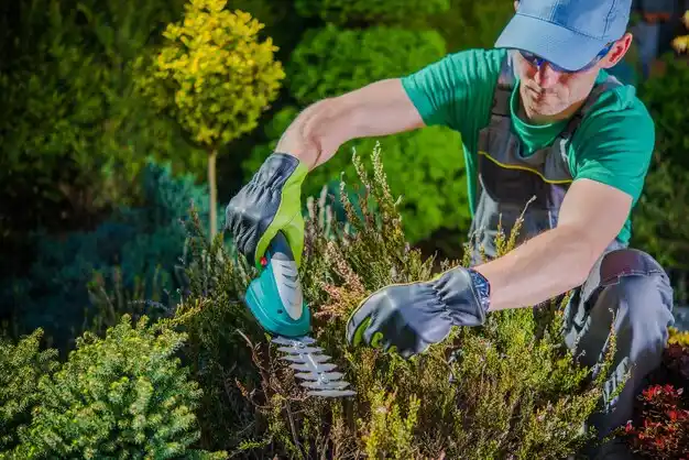 landscaping services Scotchtown